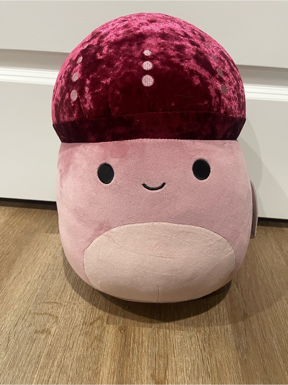 Squishmallows Hammie Mushroom